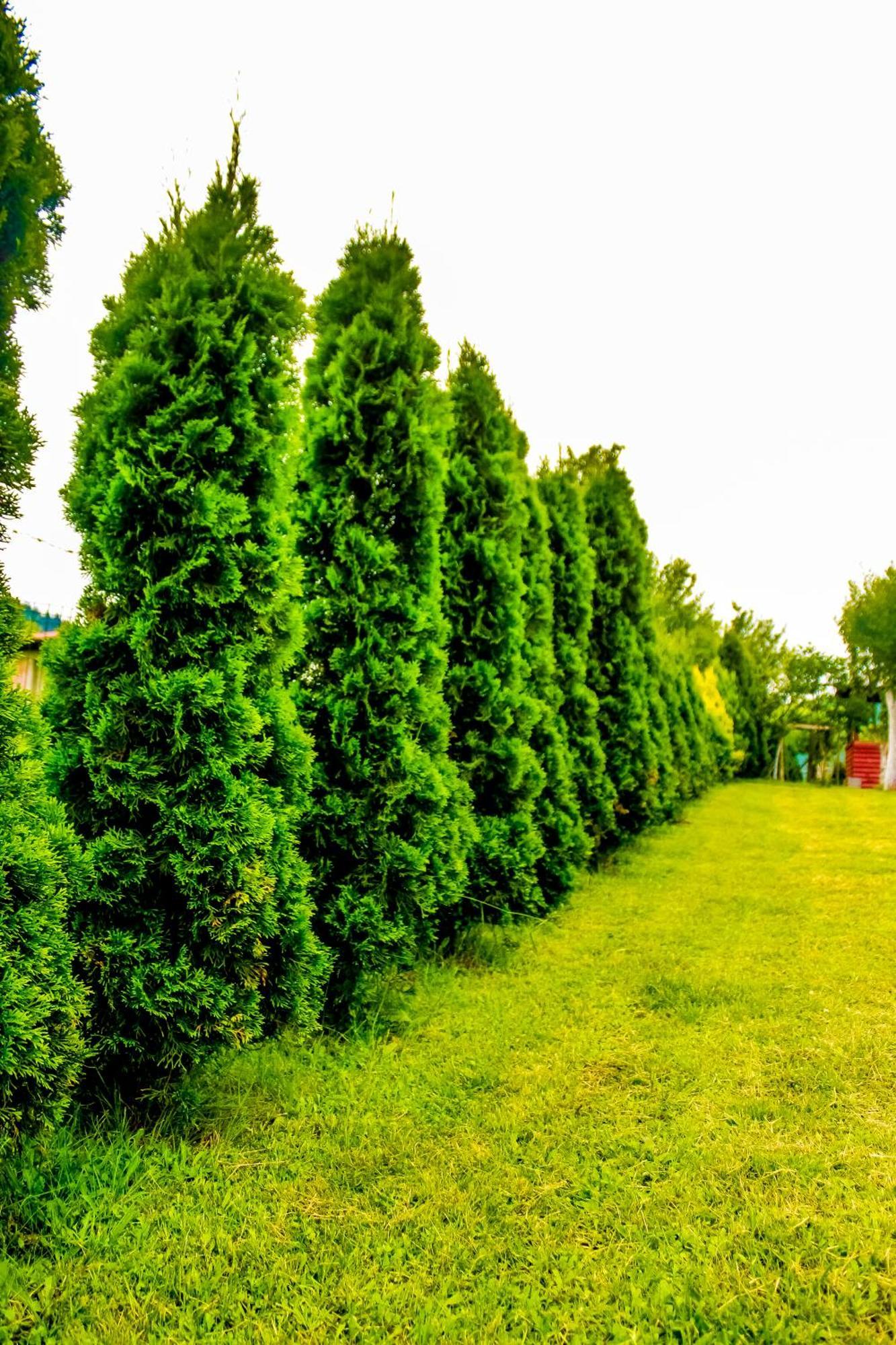 Villa Usivak for green quiet holiday near SJJ Exterior foto